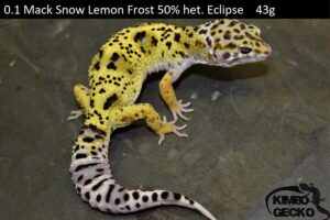 2. Mack Snow Lemon Frost 50% het. Eclipse