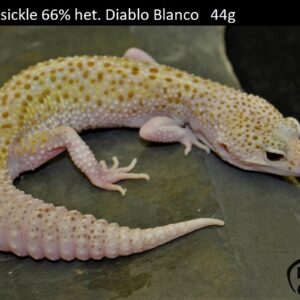 7. Dreamsickle 66% het. Diablo Blanco